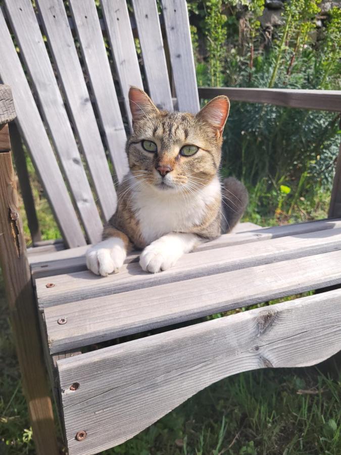 Gites Chez Daniel "Cevennes 1" Mars  Zewnętrze zdjęcie