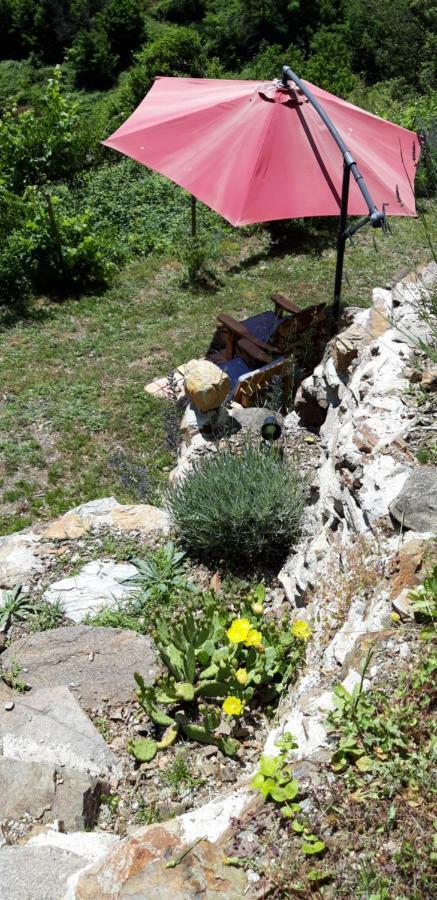 Gites Chez Daniel "Cevennes 1" Mars  Zewnętrze zdjęcie