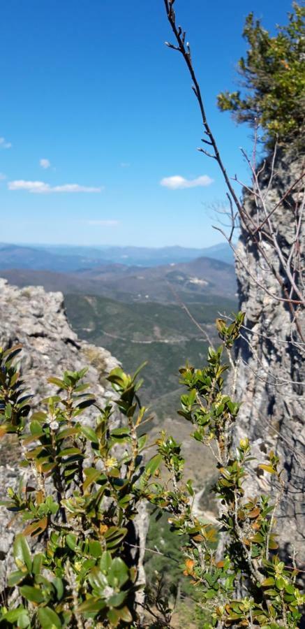Gites Chez Daniel "Cevennes 1" Mars  Zewnętrze zdjęcie
