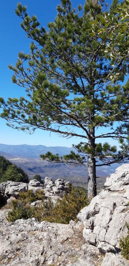 Gites Chez Daniel "Cevennes 1" Mars  Zewnętrze zdjęcie